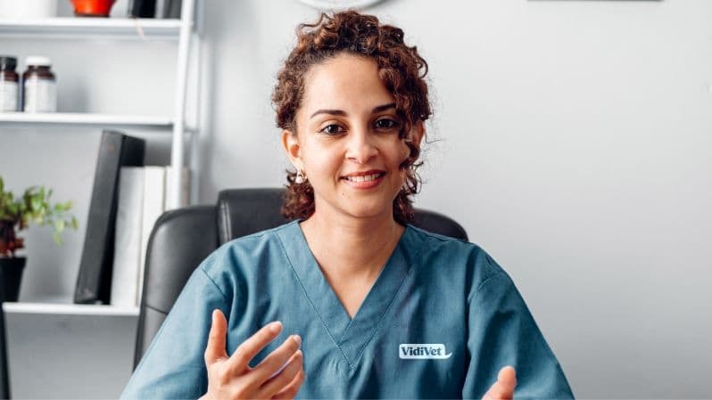 VidiVet Vet