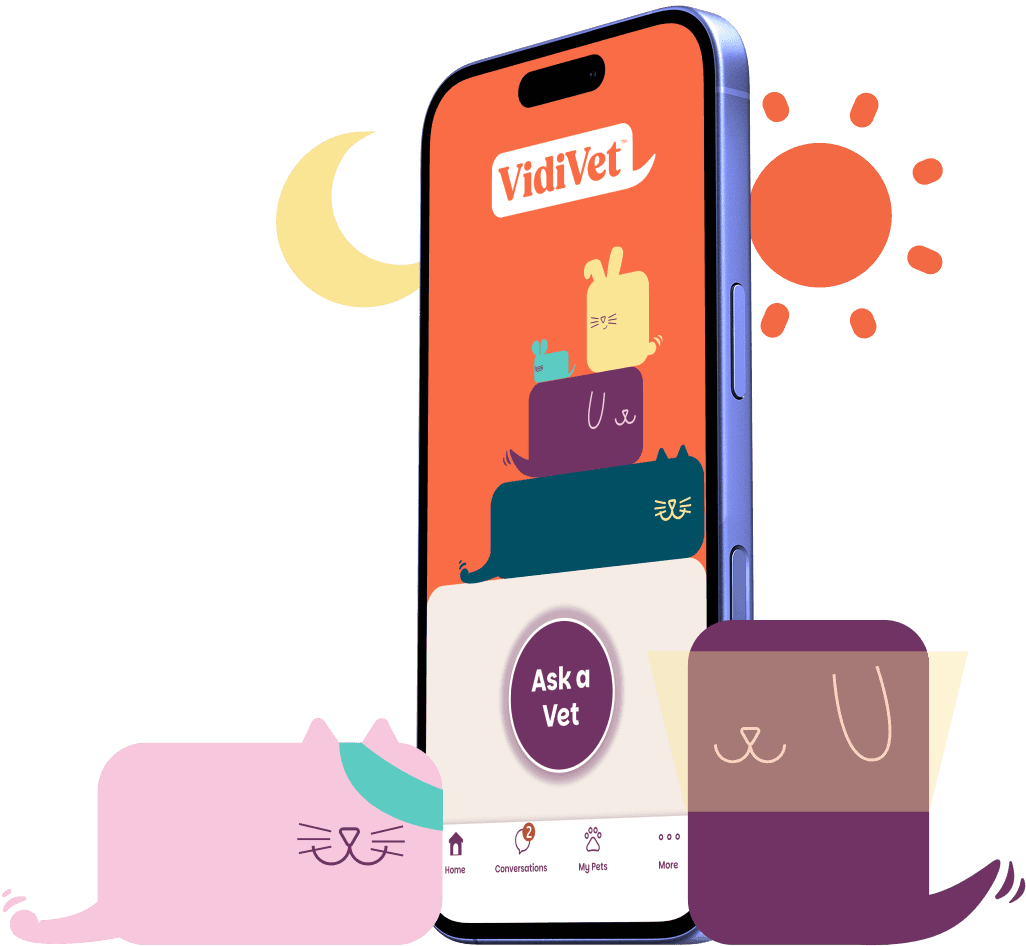 vidivet app on a mobile phone with the moon and sun in the background and a cat and dog character