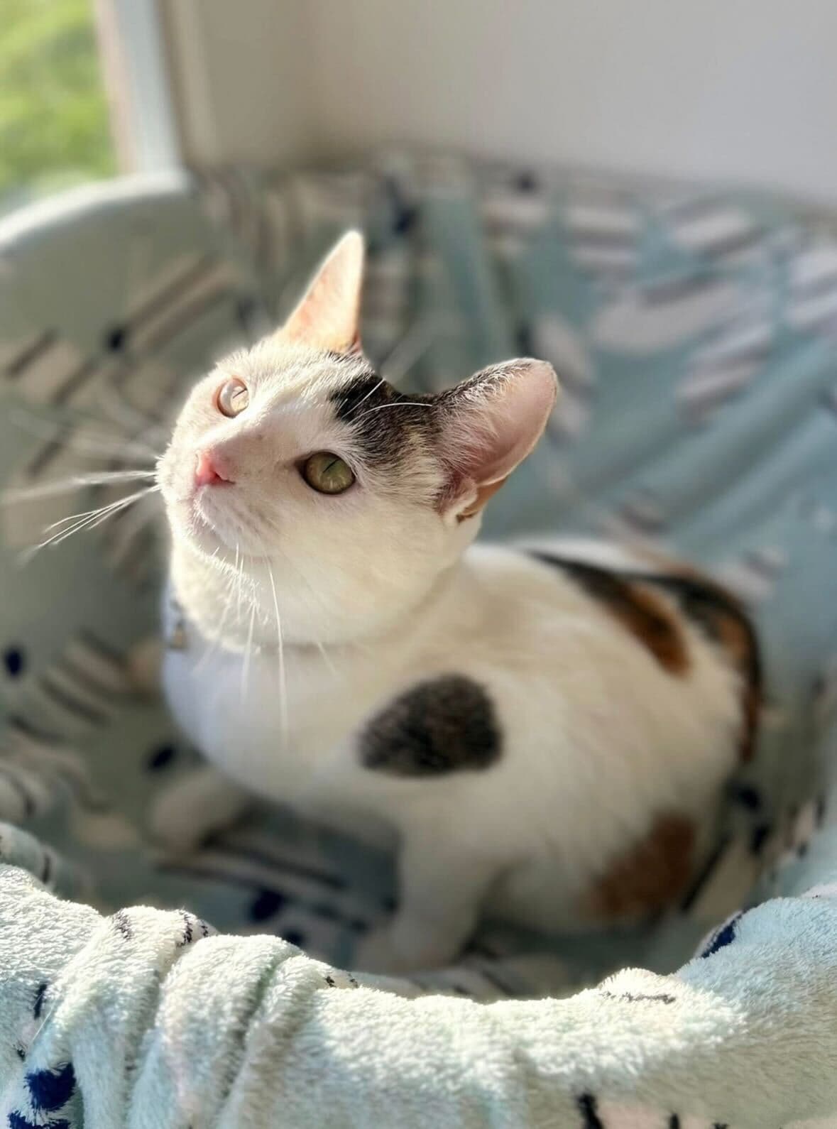 A profile image of Lexi
