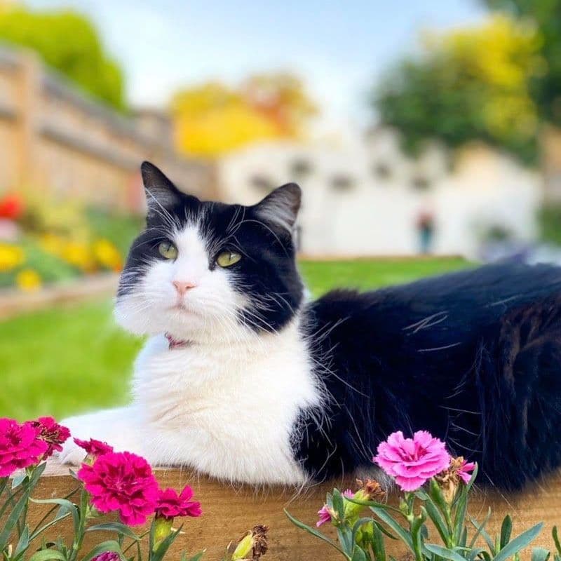 A profile image of Maggie