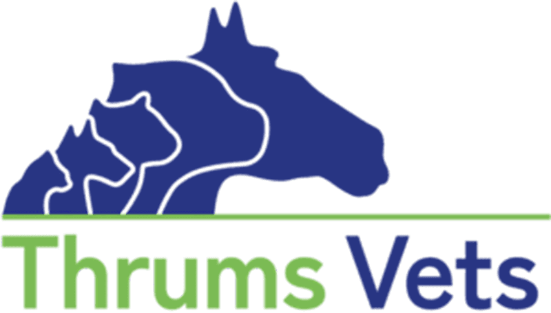 Thrums vets