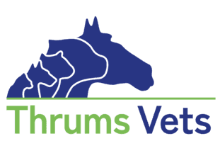 Thrums vet logo