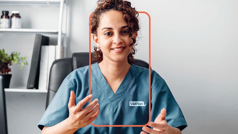 VidiVet