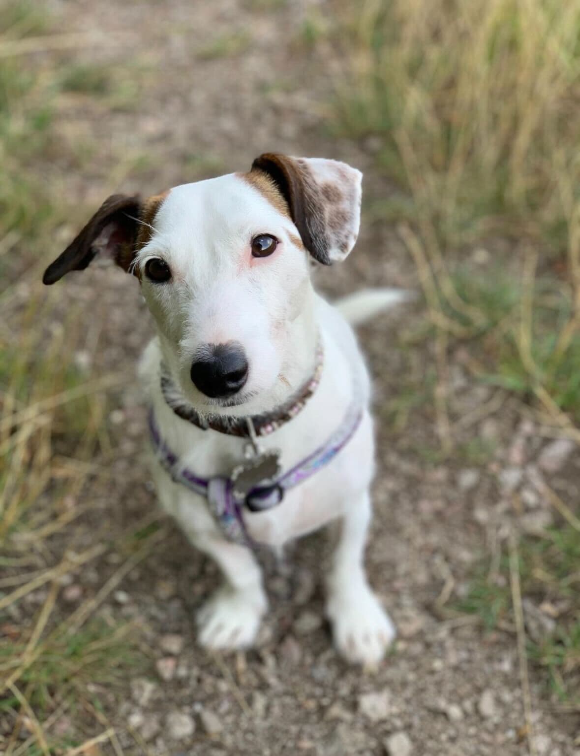 A profile image of Willow