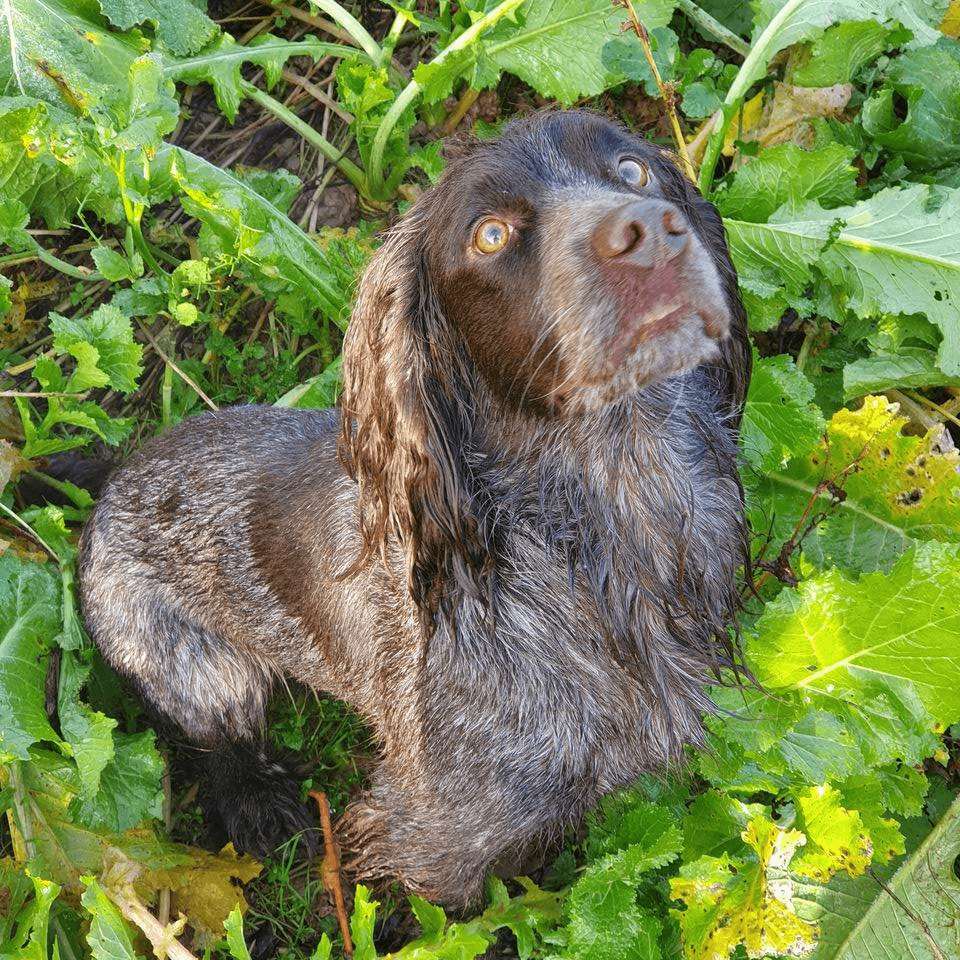 A profile image of Tally
